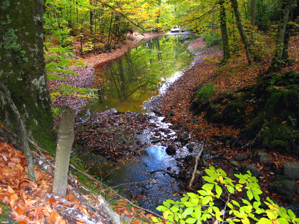 Bolu